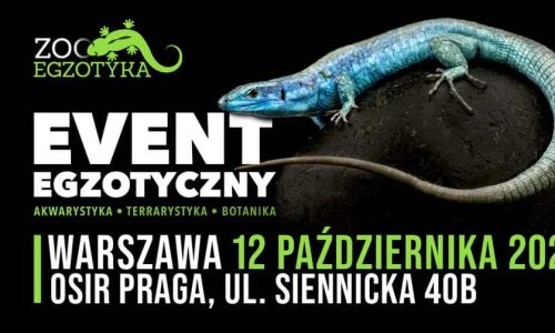 ZooEgzotyka Warszawa