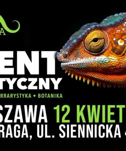 ZooEgzotyka