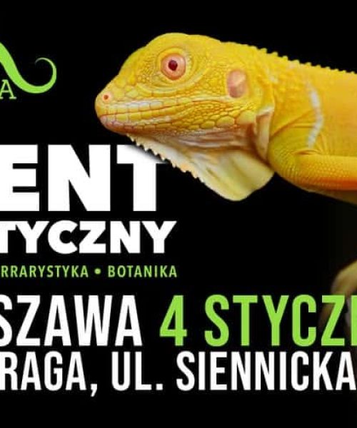 ZooEgzotyka