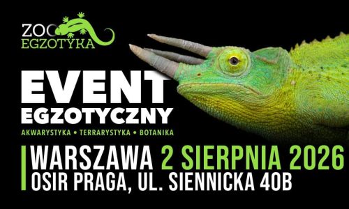 ZooEgzotyka