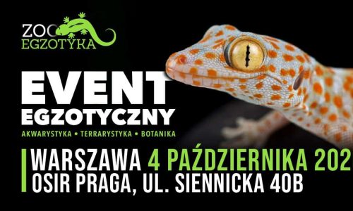 ZooEgzotyka