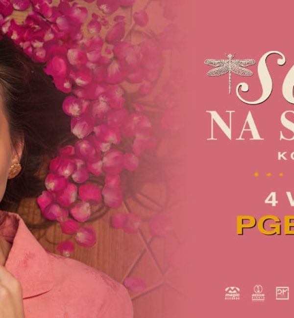 sanah NA STADIONACH. Koncert Finałowy powered by Douglas na PGE Narodowym